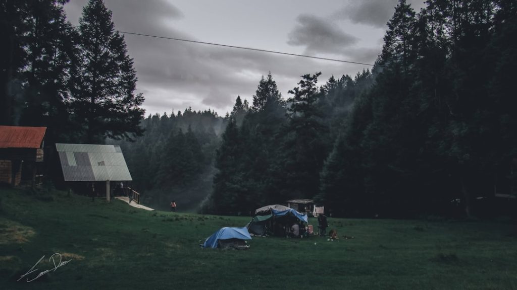 découvrez les avantages uniques du camping : connexion avec la nature, détente, aventure et moments inoubliables en plein air.