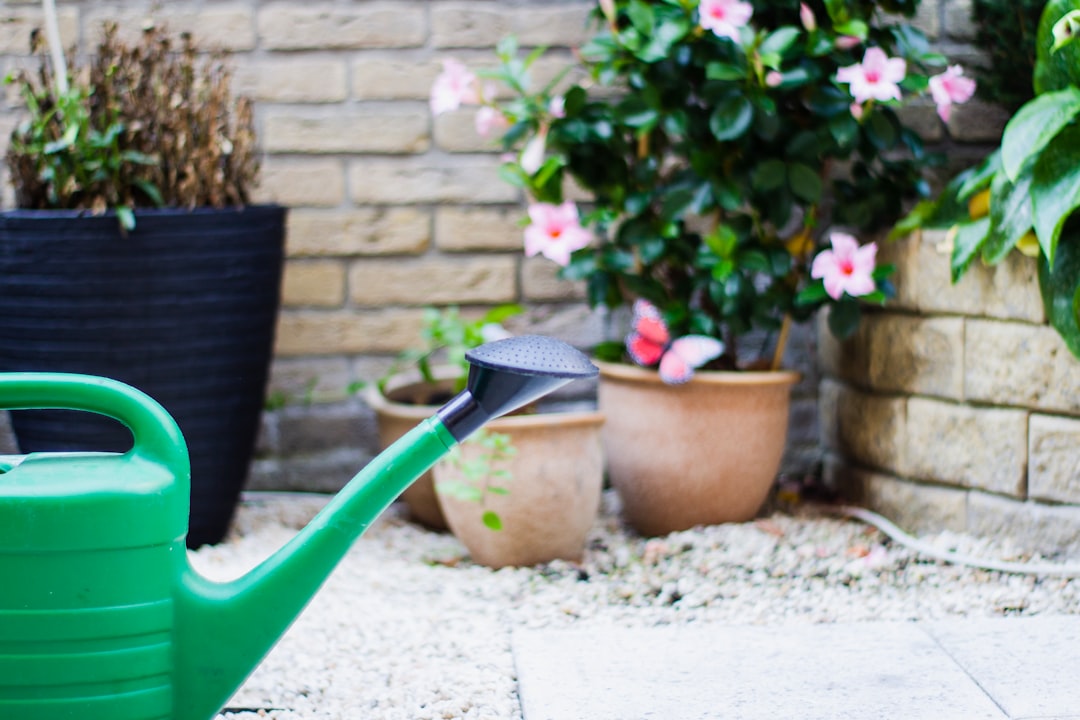 découvrez des conseils de jardinage pratiques et faciles pour entretenir votre jardin toute l'année et faire pousser des plantes saines et luxuriantes.